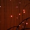 7ft. Pre-Lit Artificial Halloween Black Willow Tree with 600 Purple and Orange Dual Color LED Lights